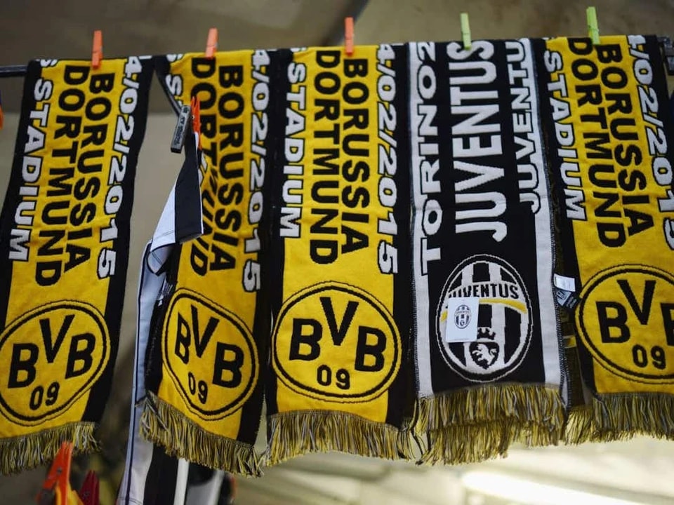 蒙德的史册, 现任体育主 蒙德的史册, 现任体育主