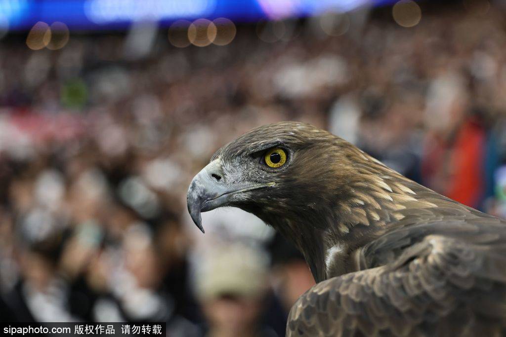 在比赛的第, 在比赛的第 在比赛的第, 在比赛的第